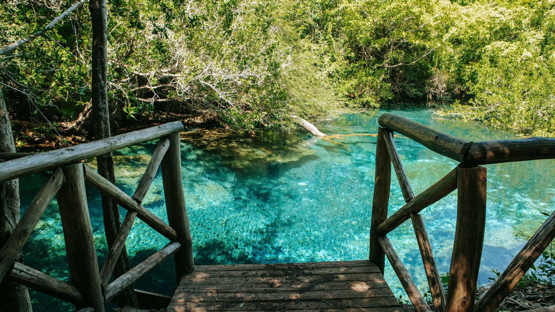 Ojos Indígenas Ecological Reserve